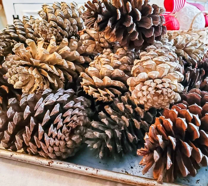 How to Make Frosted Pinecone Christmas Tree Ornaments - DIY Beautify -  Creating Beauty at Home